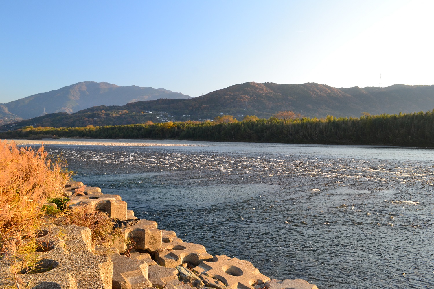 リトリート 仕事 で 吉野川のほとりに行ってみた ロケーションとリズム 株式会社flucle リトリート 仕事 で 吉野川のほとりに行ってみた ロケーションとリズム 株式会社flucle